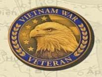 Vietnam Lapel Pin
